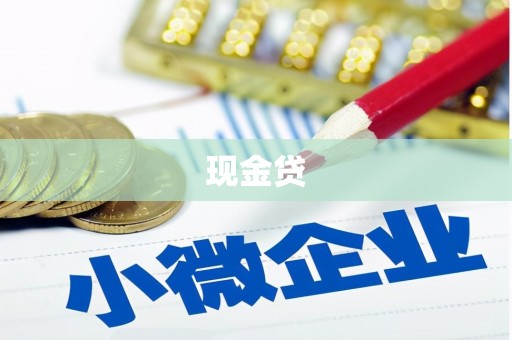 竹南现金贷