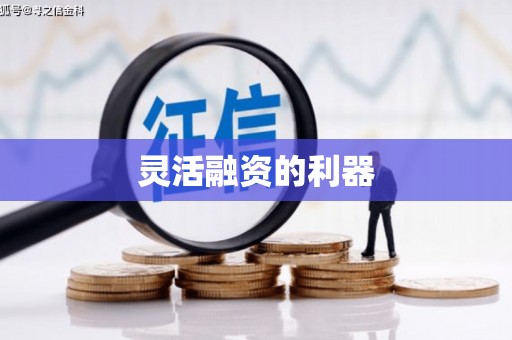 竹南灵活融资的利器