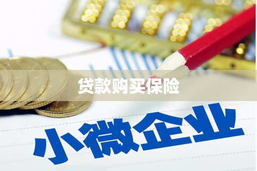 竹南贷款购买保险