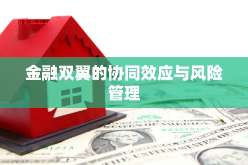 竹南金融双翼的协同效应与风险管理