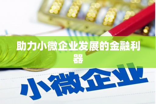 竹南助力小微企业发展的金融利器