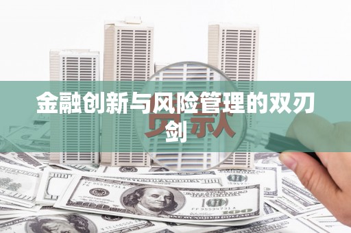 竹南金融创新与风险管理的双刃剑