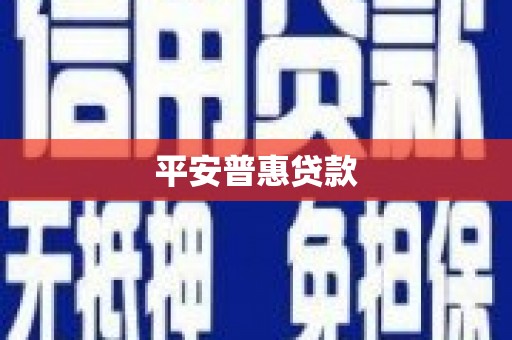 竹南平安普惠贷款