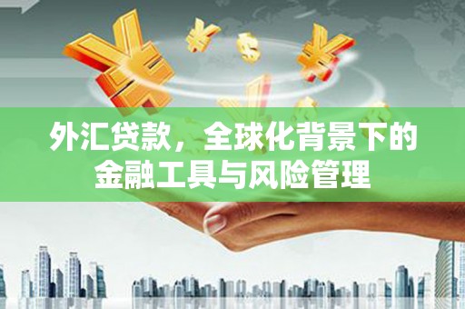 竹南外汇贷款，全球化背景下的金融工具与风险管理