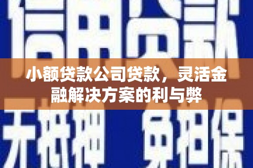 竹南小额贷款公司贷款，灵活金融解决方案的利与弊