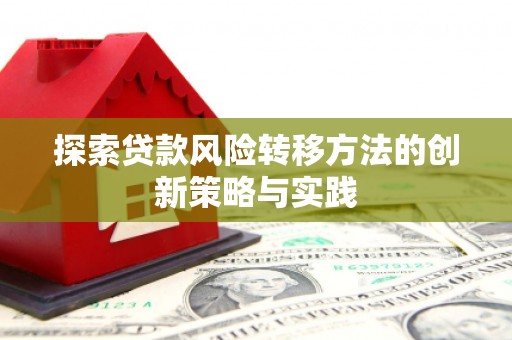 竹南探索贷款风险转移方法的创新策略与实践
