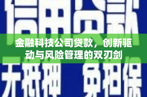 竹南金融科技公司贷款，创新驱动与风险管理的双刃剑